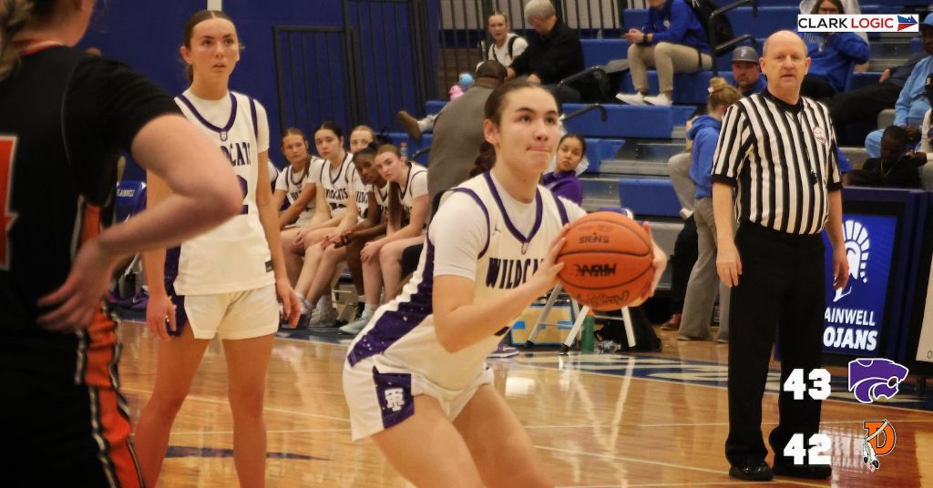 Three Rivers girls beat Dowagiac in D-2 District Semis